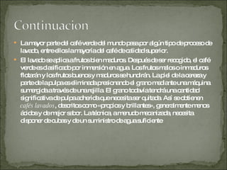 La mayor parte del café verde del mundo pasa por algún tipo de proceso de lavado, entre ellos la mayoría del café de calidad superior. El lavado se aplica a frutos bien maduros. Después de ser recogido, el café verde es clasificado por inmersión en agua. Los frutos malos o inmaduros flotarán y los frutos buenos y maduros se hundirán. La piel de la cereza y parte de la pulpa es eliminada presionando el grano mediante una máquina sumergida a través de una rejilla. El grano todavía tendrá una cantidad significativa de pulpa adherida que necesita ser quitada. Así se obtienen  cafés lavados , descritos como «propios y brillantes», generalmente menos ácidos y de mejor sabor. La técnica, a menudo mecanizada, necesita disponer de cubas y de un suministro de agua suficiente 