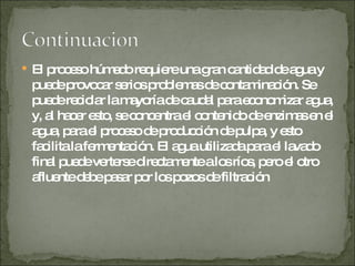 El proceso húmedo requiere una gran cantidad de agua y puede provocar serios problemas de contaminación. Se puede reciclar la mayoría de caudal para economizar agua, y, al hacer esto, se concentra el contenido de enzimas en el agua, para el proceso de producción de pulpa, y esto facilita la fermentación. El agua utilizada para el lavado final puede verterse directamente a los ríos, pero el otro afluente debe pasar por los pozos de filtración 