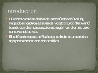 El vocablo café se deriva del árabe “kahwah” (cauá), llegando a nosotros a través del vocablo turco “kahweh” (cavé), con distintas acepciones, según los idiomas, pero conservando su raíz.  El café pertenece a las Rutáceas, su fruto es un cerecita roja poco carnosa con dos semillas.  