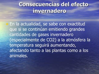 Consecuencias del efecto invernadero En la actualidad, se sabe con exactitud que si se continúan emitiendo grandes cantidades de gases invernadero (especialmente de CO2) a la atmósfera la temperatura seguirá aumentando, afectando tanto a las plantas como a los animales. 