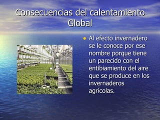 Consecuencias del calentamiento Global Al efecto invernadero se le conoce por ese nombre porque tiene un parecido con el entibiamiento del aire que se produce en los invernaderos agrícolas. 