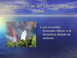 Consecuencias del calentamiento Global Los incendios forestales liberan a la atmósfera dióxido de carbono. 