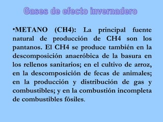 METANO (CH4):  La principal fuente natural de producción de CH4 son los pantanos. El CH4 se produce también en la descomposición anaeróbica de la basura en los rellenos sanitarios; en el cultivo de arroz, en la descomposición de fecas de animales; en la producción y distribución de gas y combustibles; y en la combustión incompleta de combustibles fósiles . Gases de efecto invernadero 