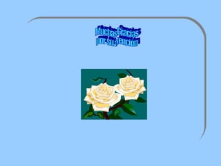 Muchas Gracias por su atenciòn 