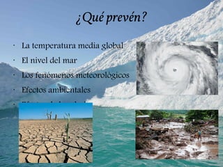 ¿Qué prevén?
•
La temperatura media global
•
El nivel del mar
•
Los fenómenos meteorológicos
•
Efectos ambientales
•
Efectos de la salud
 