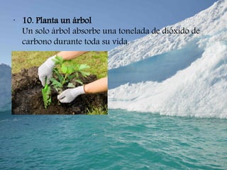 •
10. Planta un árbol
Un solo árbol absorbe una tonelada de dióxido de
carbono durante toda su vida.
 