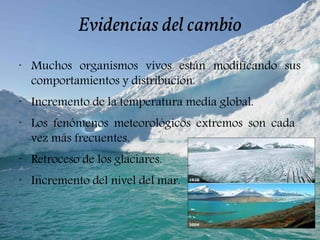 Evidencias del cambio
•
Muchos organismos vivos están modificando sus
comportamientos y distribución.
•
Incremento de la temperatura media global.
•
Los fenómenos meteorológicos extremos son cada
vez más frecuentes.
•
Retroceso de los glaciares.
•
Incremento del nivel del mar.
 
