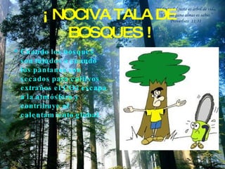 ¡ NOCIVA TALA DE BOSQUES ! Cuando los bosques son talados o cuando los pantanos son secados para cultivos extraños el CO2 escapa a la atmósfera y contribuye al calentamiento global. 