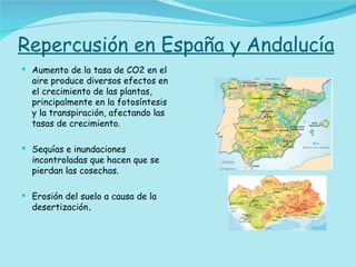 Repercusión en España y Andalucía Aumento de la tasa de CO2 en el aire produce diversos efectos en el crecimiento de las plantas, principalmente en la fotosíntesis y la transpiración, afectando las tasas de crecimiento. Sequías e inundaciones incontroladas que hacen que se pierdan las cosechas. Erosión del suelo a causa de la desertización . 