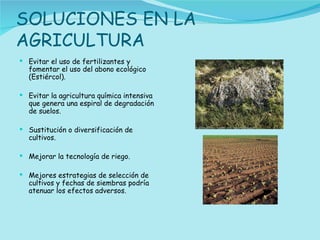 Evitar el uso de fertilizantes y fomentar el uso del abono ecológico (Estiércol). Evitar la agricultura química intensiva que genera una espiral de degradación de suelos. Sustitución o diversificación de cultivos. Mejorar la tecnología de riego. Mejores estrategias de selección de cultivos y fechas de siembras podría atenuar los efectos adversos. SOLUCIONES EN LA AGRICULTURA 