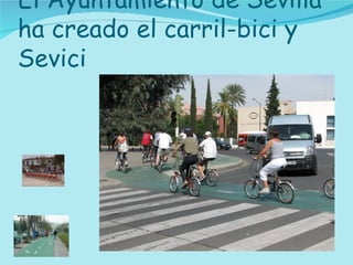 El Ayuntamiento de Sevilla ha creado el carril-bici y Sevici 