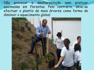 Não provocar a desflorestação nem praticar queimadas em florestas. Pelo contrário, deve-se efectuar o plantio de mais árvores como forma de diminuir o aquecimento global.  