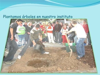 Plantamos árboles en nuestro instituto 
