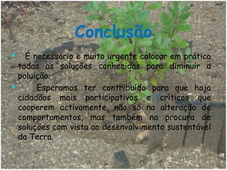 Conclusão É necessário e muito urgente colocar em prática todas as soluções conhecidas para diminuir a poluição. Esperamos ter contribuído para que haja cidadãos mais participativos e críticos que cooperem activamente, não só na alteração de comportamentos, mas também na procura de soluções com vista ao desenvolvimento sustentável da Terra.  