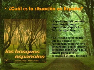 ·  ¿Cuál es la situación en España? · España un país con una masa forestal muy importante, supera los 50% de superficie · En España se pretende que los bosques se reconozcan como reserva de carbono, con el objetivo de captar mas CO2. En la mayor parte esta capacidad es muy limitada 