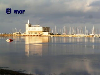 El mar 