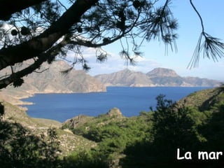 La mar 