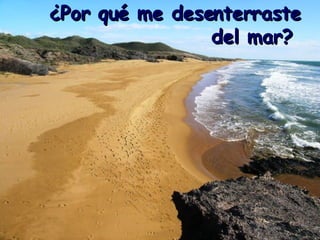 ¿Por qué me desenterraste del mar?   