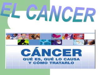 EL CANCER,[object Object]