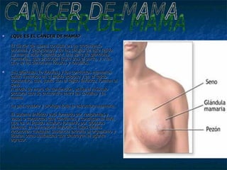 ¿QUÉ ES EL CÁNCER DE MAMA? El cáncer de mama consiste en un crecimiento anormal y desordenado de las células de éste tejido.  La mama está formada por una serie de glándulas mamarias, que producen leche tras el parto, y a las que se les denomina lóbulos y lobulillos. Las glándulas (o lóbulos) y los conductos mamarios están inmersos en el tejido adiposo y en el tejido conjuntivo, que, junto con el tejido linfático, forman el seno.  A modo de muro de contención, actúa el músculo pectoral que se encuentra entre las costillas y la mama.  La piel recubre y protege toda la estructura mamaria. El sistema linfático está formado por recipientes y vasos o conductos que contienen y conducen la linfa, que es un líquido incoloro formado por glóbulos blancos, en su mayoría linfocitos. Estas células reconocen cualquier sustancia extraña al organismo y liberan otras sustancias que destruyen al agente agresor. CANCER DE MAMA 