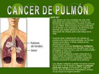   ¿QUÉ ES? Las células son las unidades de vida más pequeñas del cuerpo humano. Una de sus funciones es reproducirse y morirse cuando ya no son útiles. Este proceso es muy ordenado, en el tiempo y en el espacio, de tal forma que permite que exista siempre el número adecuado de células para cada etapa de la vida. Cuando esta multiplicación de células se produce de manera descontrolada, se forman masas anormales. A estas masas se les denomina tumores. Puede haber tumores  benignos y malignos . Los tumores benignos son aquellos que no se propagan a otras zonas y que no comprometen la vida de la persona. Los tumores malignos suelen extenderse a otras partes del cuerpo y causan daño a los tejidos y a los órganos corporales pudiendo incluso provocar la muerte de la persona. Las células malignas pueden moverse a través de la linfa o de la sangre y  llegar a cualquier parte del cuerpo  provocando un segundo tumor, que se denomina metastásico, porque no es el que se originó primero. CANCER DE PULMÓN 