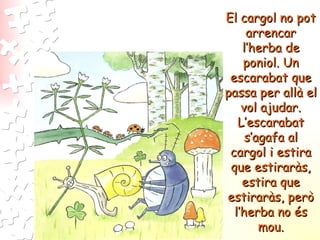 El cargol no pot arrencar l’herba de poniol. Un escarabat que passa per allà el vol ajudar. L’escarabat s’agafa al cargol i estira que estiraràs, estira que estiraràs, però l’herba no és mou. 