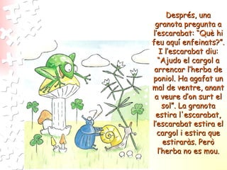 Després, una granota pregunta a l’escarabat: “Què hi feu aquí enfeinats?”. I l’escarabat diu: “Ajudo el cargol a arrencar l’herba de poniol. Ha agafat un mal de ventre, anant a veure d’on surt el sol”. La granota estira l'escarabat, l’escarabat estira el cargol i estira que estiraràs. Però l’herba no es mou. 