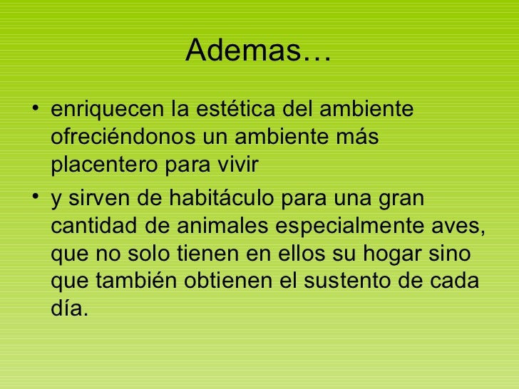 EL CEDRO