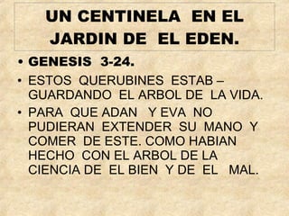 UN CENTINELA  EN EL JARDIN DE  EL EDEN. GENESIS  3-24. ESTOS  QUERUBINES  ESTAB –GUARDANDO  EL ARBOL DE  LA VIDA. PARA  QUE ADAN  Y EVA  NO PUDIERAN  EXTENDER  SU  MANO  Y  COMER  DE ESTE. COMO HABIAN  HECHO  CON EL ARBOL DE LA CIENCIA DE  EL BIEN  Y DE  EL  MAL. 