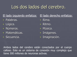 Los dos lados del cerebro. El lado izquierdo enfatiza: Palabras. Lógica. Números. Matemáticas. Secuencia. El lado derecho enfatiza: Rima. Ritmo. Música. Imágenes. Imaginación. Ambos lados del cerebro están conectados por el cuerpo calloso. Este es un sistema de conexión muy complejo que tiene 300 millones de neuronas activas.  