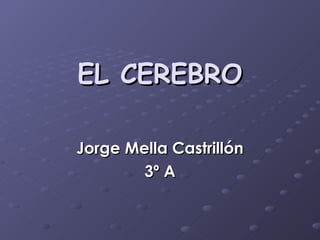 EL CEREBRO Jorge Mella Castrillón 3º A 