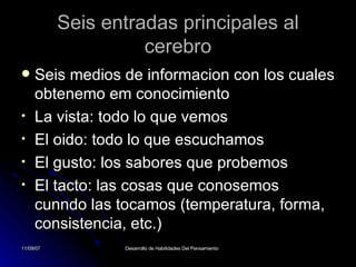 Seis entradas principales al cerebro Seis medios de informacion con los cuales obtenemo em conocimiento La vista: todo lo que vemos El oido: todo lo que escuchamos El gusto: los sabores que probemos El tacto: las cosas que conosemos cunndo las tocamos (temperatura, forma, consistencia, etc.) 