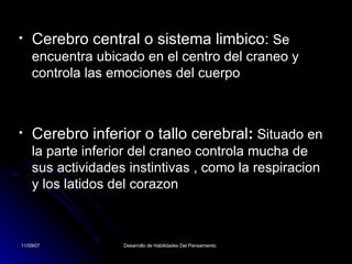 Cerebro central o sistema limbico:  Se encuentra ubicado en el centro del craneo y controla las emociones del cuerpo Cerebro inferior o tallo cerebral :   Situado en la parte inferior del craneo controla mucha de sus actividades instintivas , como la respiracion y los latidos del corazon 