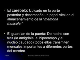 El cerebelo:  Ubicado en la parte posterior y desempeña un papel vital en el almacenamiento de la “ memoria muscular”  El guardian de la puerta: De hecho son tres (la amigdala, el hipocampo y el nucleo caudado) todos ellos transmiten mensales importantes a diferentes partes del cerebro 
