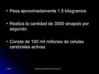 Pesa aproximadamente 1.5 kilogramos Realiza la cantidad de 3000 sinapsis por segundo Consta de 100 mil millones de celulas cerebrales activas 