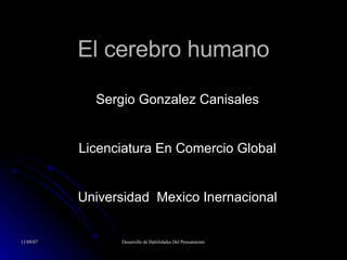 El cerebro humano Sergio Gonzalez Canisales Licenciatura En Comercio Global Universidad  Mexico Inernacional 