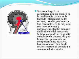 Sistema Reptil: se

caracteriza por ser asiento de
la inteligencia básica, es la
llamada inteligencia de las
rutinas, rituales, parámetros.
Sus conductas, en la mayoría,
son inconscientes y
automáticas. Recibe mensaje
del límbico y del neocortex.
Se hace cargo de su conducta
cuando se ve amenazado por
la sanción, generando un
comportamiento reactivo.
Las personas actúan desde
esta estructura en atención a
sus necesidades vitales.

 