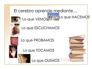 El cerebro aprende mediante… Lo que VEMOS Lo que ESCUCHAMOS Lo que PROBAMOS Lo que TOCAMOS Lo que OLEMOS Lo que HACEMOS 