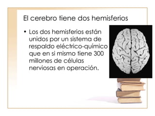El cerebro tiene dos hemisferios  Los dos hemisferios están unidos por un sistema de respaldo eléctrico-químico que en si mismo tiene 300 millones de células nerviosas en operación. 