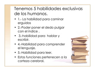 Tenemos 5 habilidades exclusivas de los humanos. 1.- La habilidad para caminar erguidos 2.-Poder poner el dedo pulgar con el índice . 3.-habilidad para  hablar y escribir. 4.-Habilidad para comprender el lenguaje. 5.-Habilidad para leer.  Estas funciones pertenecen a la corteza cerebral. 