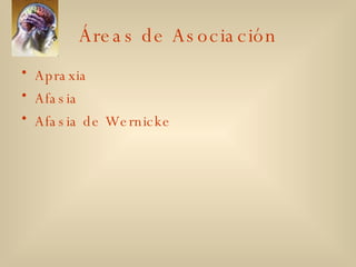 Áreas de Asociación Apraxia Afasia Afasia de Wernicke 