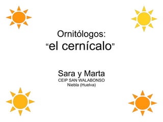 Ornitólogos:
“el   cernícalo”

  Sara y Marta
  CEIP SAN WALABONSO
      Niebla (Huelva)
 