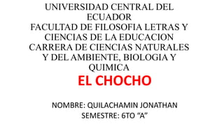 UNIVERSIDAD CENTRAL DEL
ECUADOR
FACULTAD DE FILOSOFIA LETRAS Y
CIENCIAS DE LA EDUCACION
CARRERA DE CIENCIAS NATURALES
Y DEL AMBIENTE, BIOLOGIA Y
QUIMICA
EL CHOCHO
NOMBRE: QUILACHAMIN JONATHAN
SEMESTRE: 6TO “A”
 