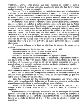 El Chocolate, Origen E Historia[1].