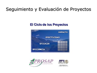 Seguimiento y Evaluación de Proyectos El Ciclo de los Proyectos 
