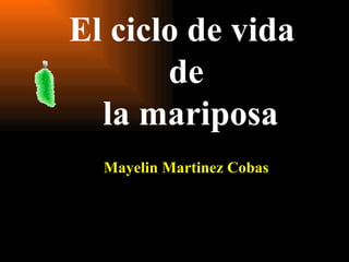 El ciclo de vida  de  la mariposa Mayelin Martinez Cobas 