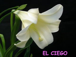 EL CIEGO