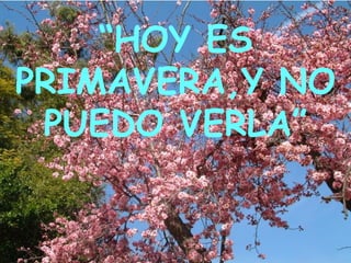 “ HOY ES PRIMAVERA,Y NO PUEDO VERLA”