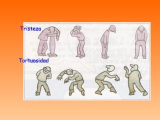 Tristeza Tortuosidad 