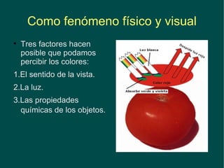 Como fenómeno físico y visual Tres factores hacen posible que podamos percibir los colores: 1.El sentido de la vista. 2.La luz.  3.Las propiedades químicas de los objetos .  